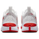 Nike Team Hustle D 11 (GS)